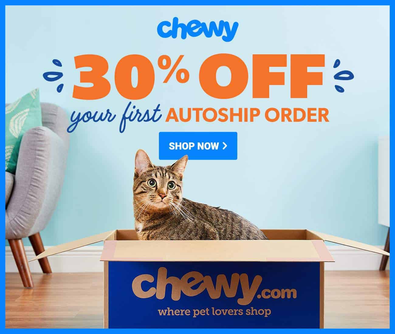American Shorthair Supplies on Chewy.com