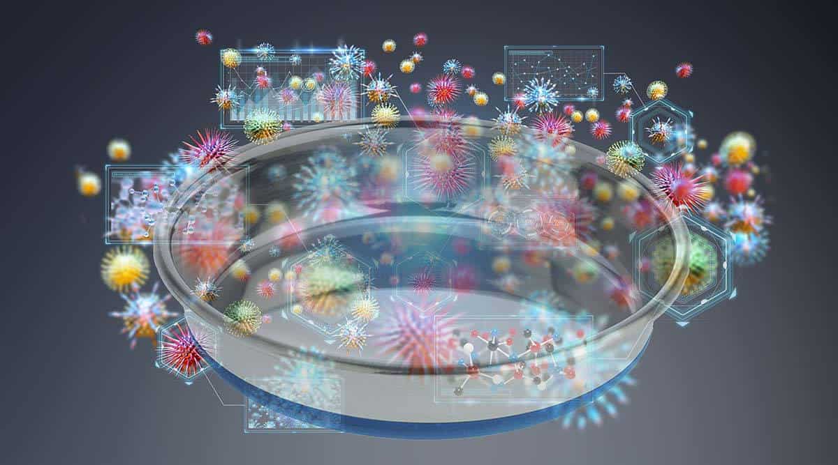 Bacteria on pet bowl