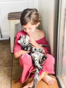 Tender moment between a child and her American Shorthair cat